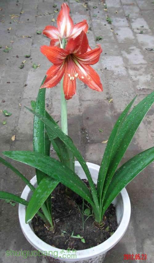 С 춥.012.05.23 007.jpg