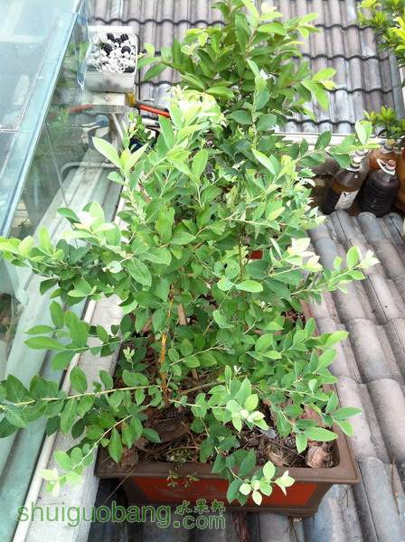 ��Ƭ20120216 930.jpg