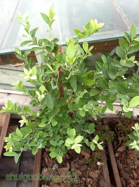 ��Ƭ20120216 920.jpg