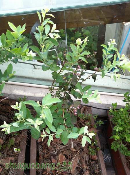 ��Ƭ20120216 921.jpg