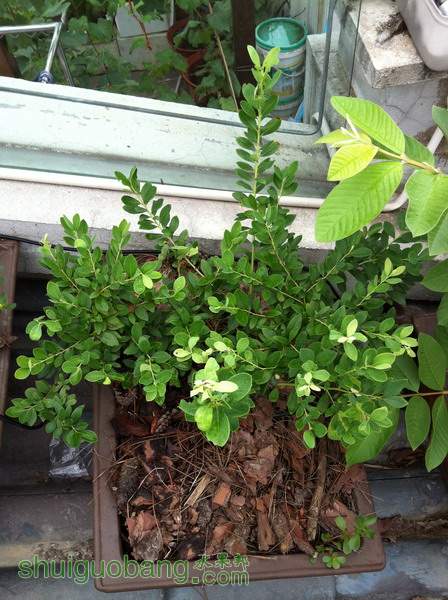 ��Ƭ20120216 922.jpg