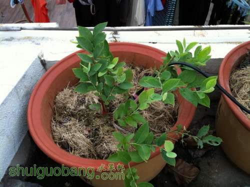 ��Ƭ20120216 925.jpg