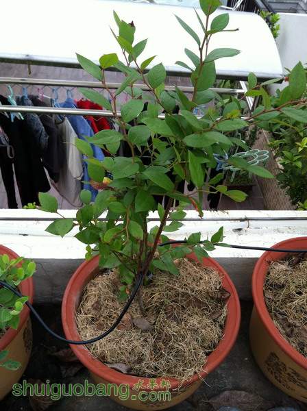 ��Ƭ20120216 926.jpg