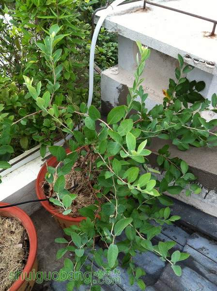 ��Ƭ20120216 928.jpg