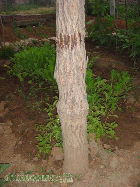 DSC04295.JPG