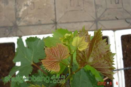 DSC00890.JPG