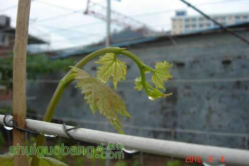 DSC00891.JPG