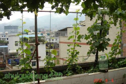 DSC00896.JPG