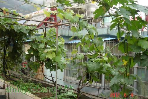 DSC00900.JPG
