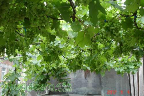 DSC00901.JPG