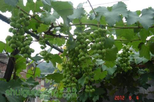 DSC00915.JPG