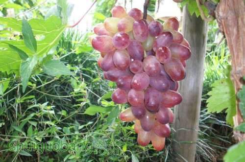 QQ��ͼ20120607094827.jpg