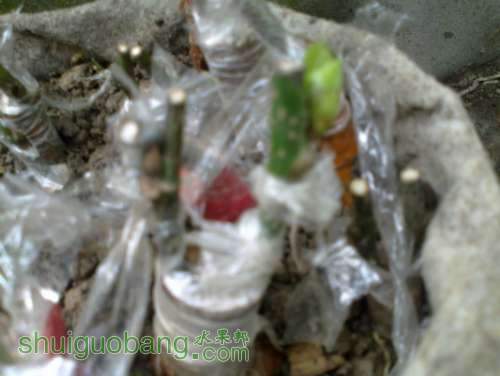 20120601020.jpg