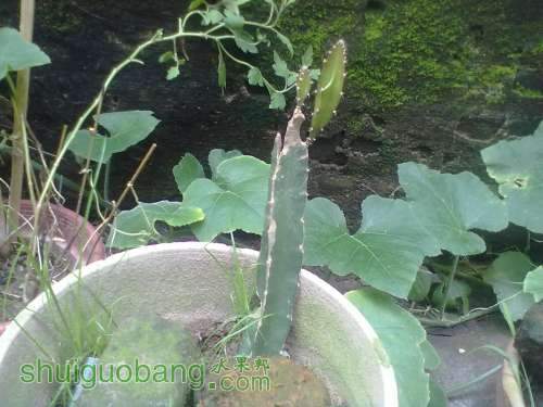 201206081110.jpg
