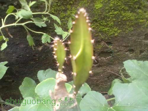 201206081111.jpg