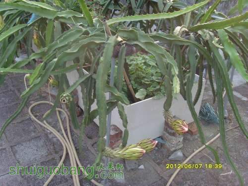 С SI855305.JPG