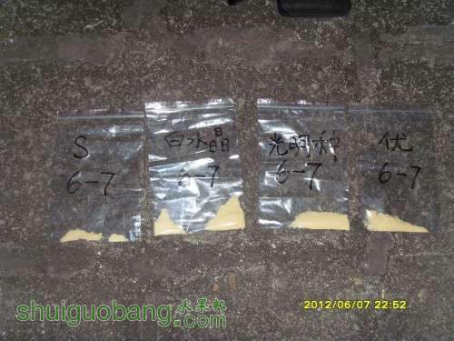 С SI855346.JPG