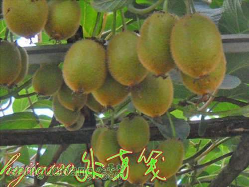DSCN0730.jpg