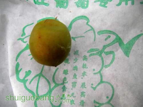 DSCF9032.jpg