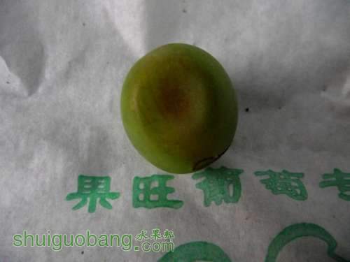 DSCF9033.jpg