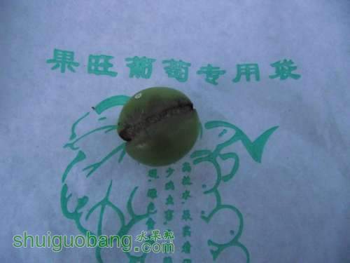 DSCF9034.jpg