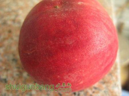 IMG_1189.JPG