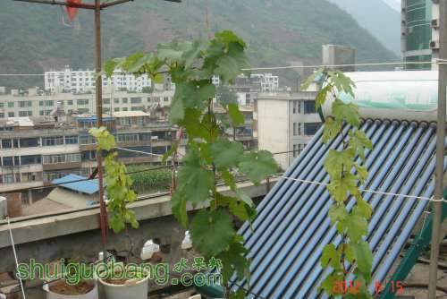 DSC01001.JPG