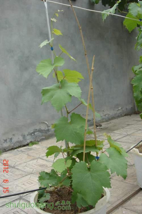 DSC01009.JPG