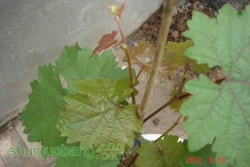 DSC01031.JPG