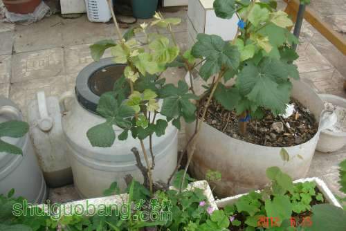 DSC01046.JPG