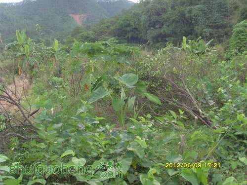 ������С SI855401.JPG