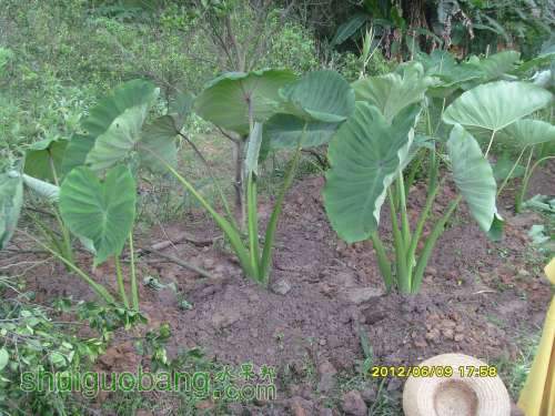 ������С SI855408.JPG