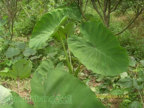 ������С SI855442.JPG