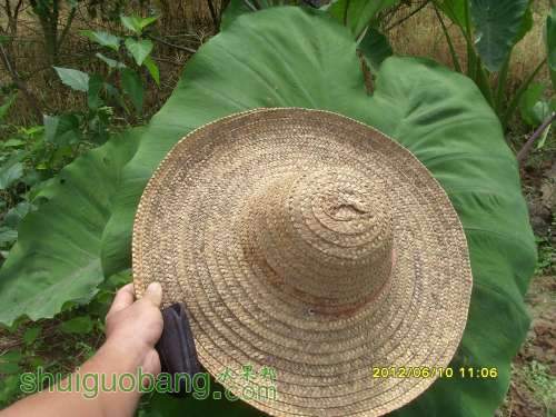 ������С SI855443.JPG