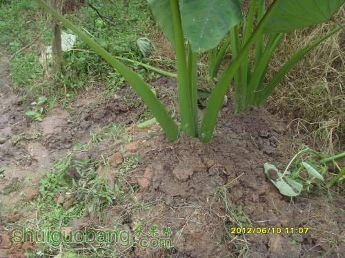 ������С SI855446.JPG