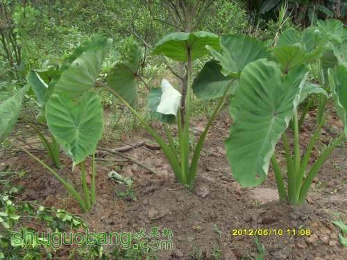 ������С SI855451.JPG