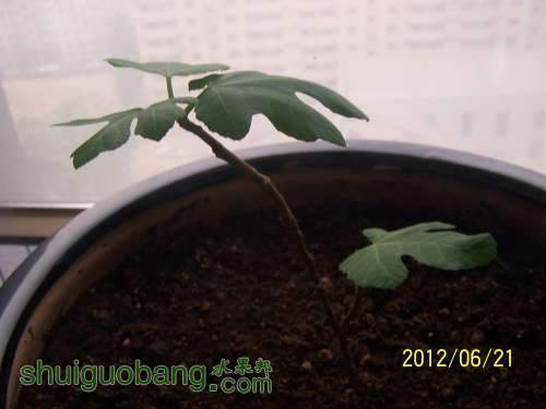 100_0792.JPG