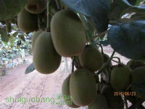 6Q9338CACQBGBOCAC2S0CQCA6DI21UCAQ2NA79CASQSXQ3CA7UT1QPCAJFDJCXCAB2Q2V0CAACGODUCA.jpg