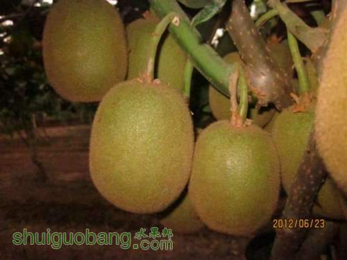 86A1EJCA3ON5KICABQM8XQCAKJG5ZDCA8UD6XECAGKXLTOCA978NAECA12HC5JCAFG26IICA3M8OTKCA.jpg