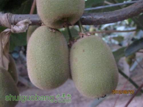 G5UIWCCAHCQYKUCAXHFMGTCAY03X1OCAKBIQE9CACELDXSCAM2C5U3CAOHVTEDCAIG4Z87CAIPE5A8CA.jpg