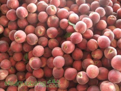 2012.6��20�ռ���������հ�װ 003.jpg