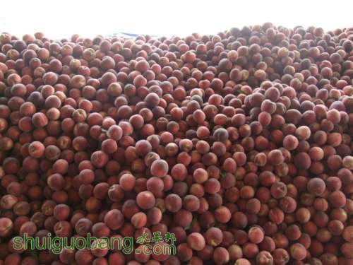 2012.6��20�ռ���������հ�װ 002.jpg