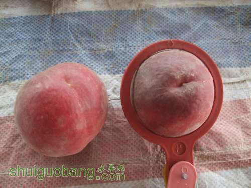 2012.6��20�ռ���������հ�װ 004.jpg