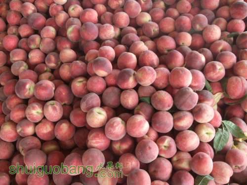 2012.6��20�ռ���������հ�װ 005.jpg