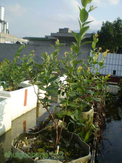 P6210002.jpg