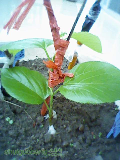 120625001.jpg
