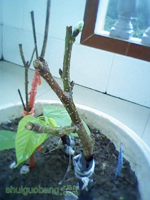 120625002.jpg
