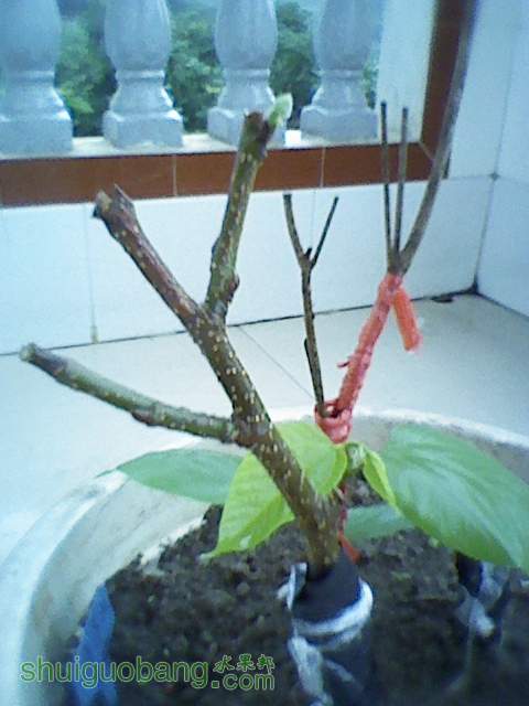 120625003.jpg