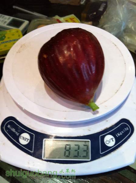 Ƭ20120216 798.jpg