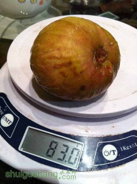 Ƭ20120216 816.jpg